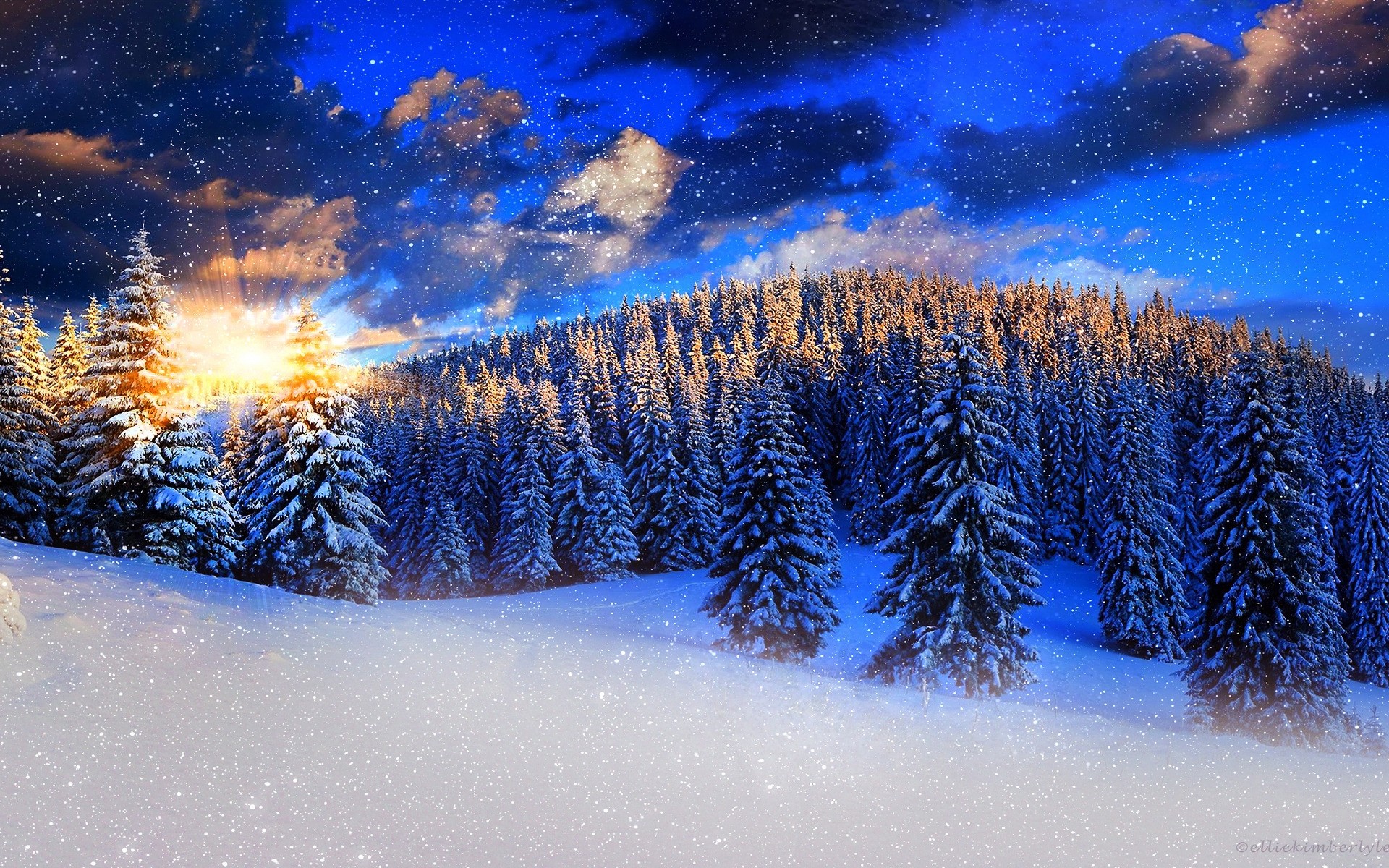 landscapes winter snow frost cold christmas season frozen ice weather landscape fair weather light nature fir tree snow-white snowflake scenic sunset forest