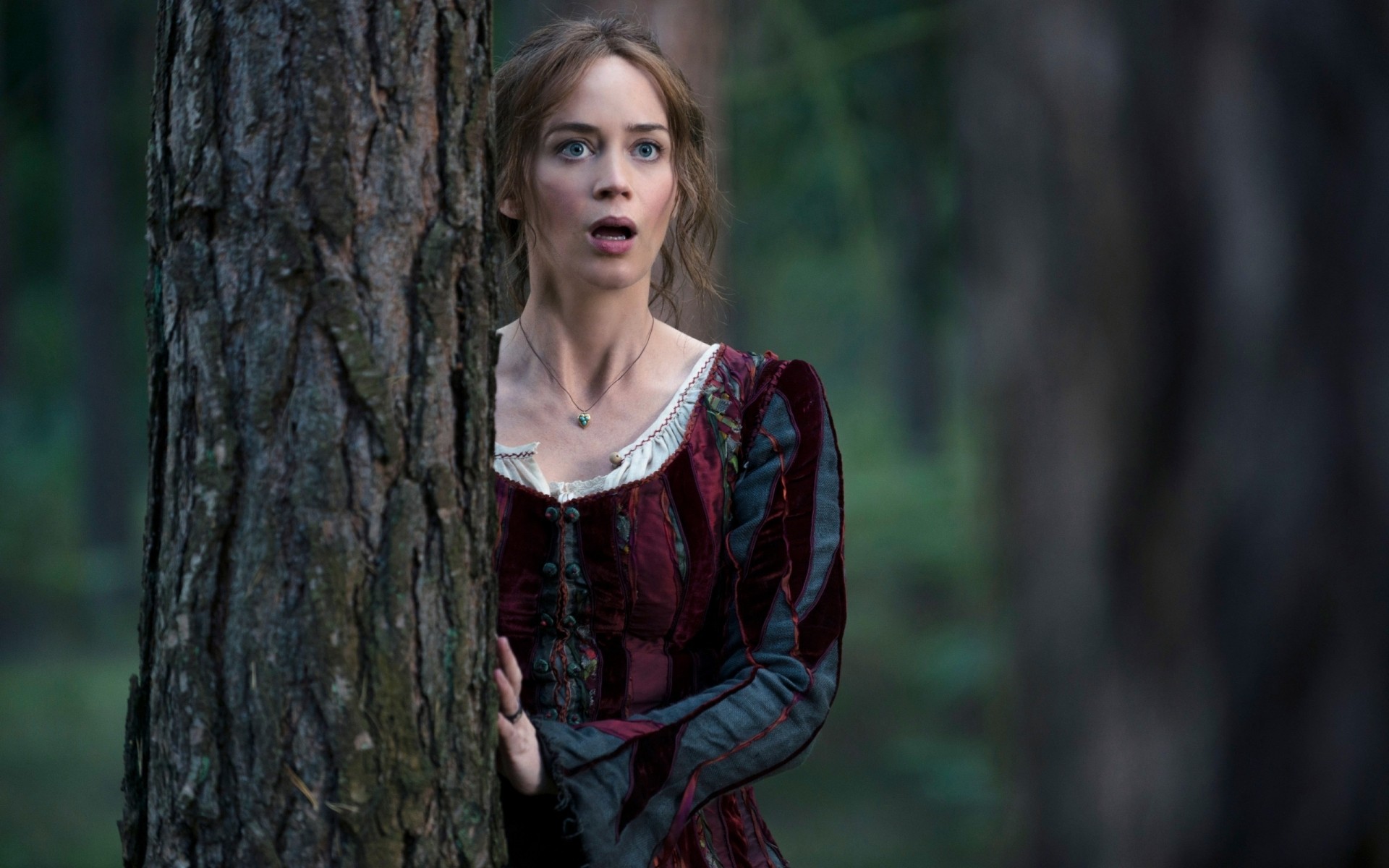 películas solo mujer adulto madera retrato árbol chica parque al aire libre naturaleza en el bosque emily blunt