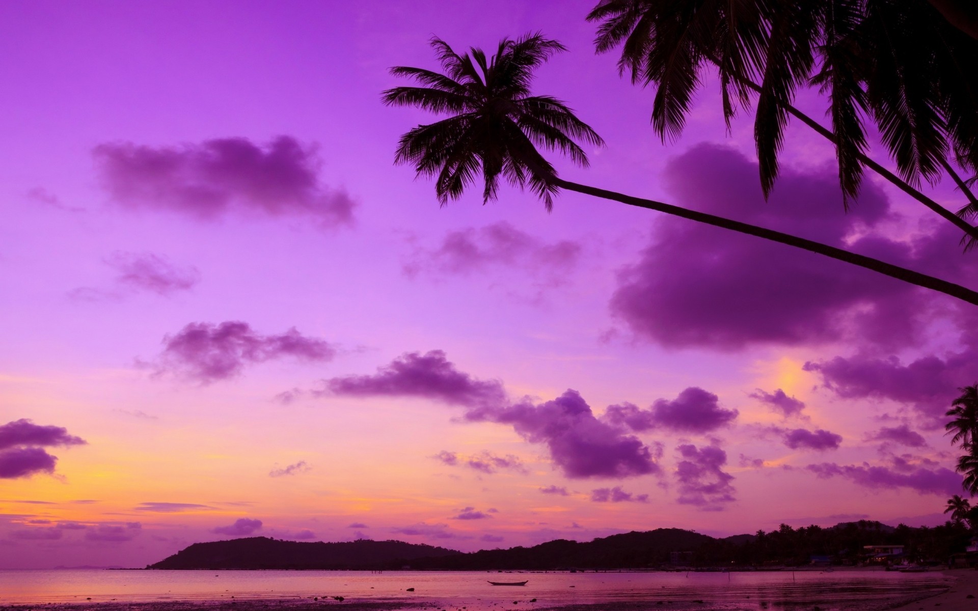 landschaft sonnenuntergang strand tropisch wasser meer sonne himmel ozean sommer dämmerung natur dämmerung meer abend landschaft palmen sand horizont insel paradies palmen lila