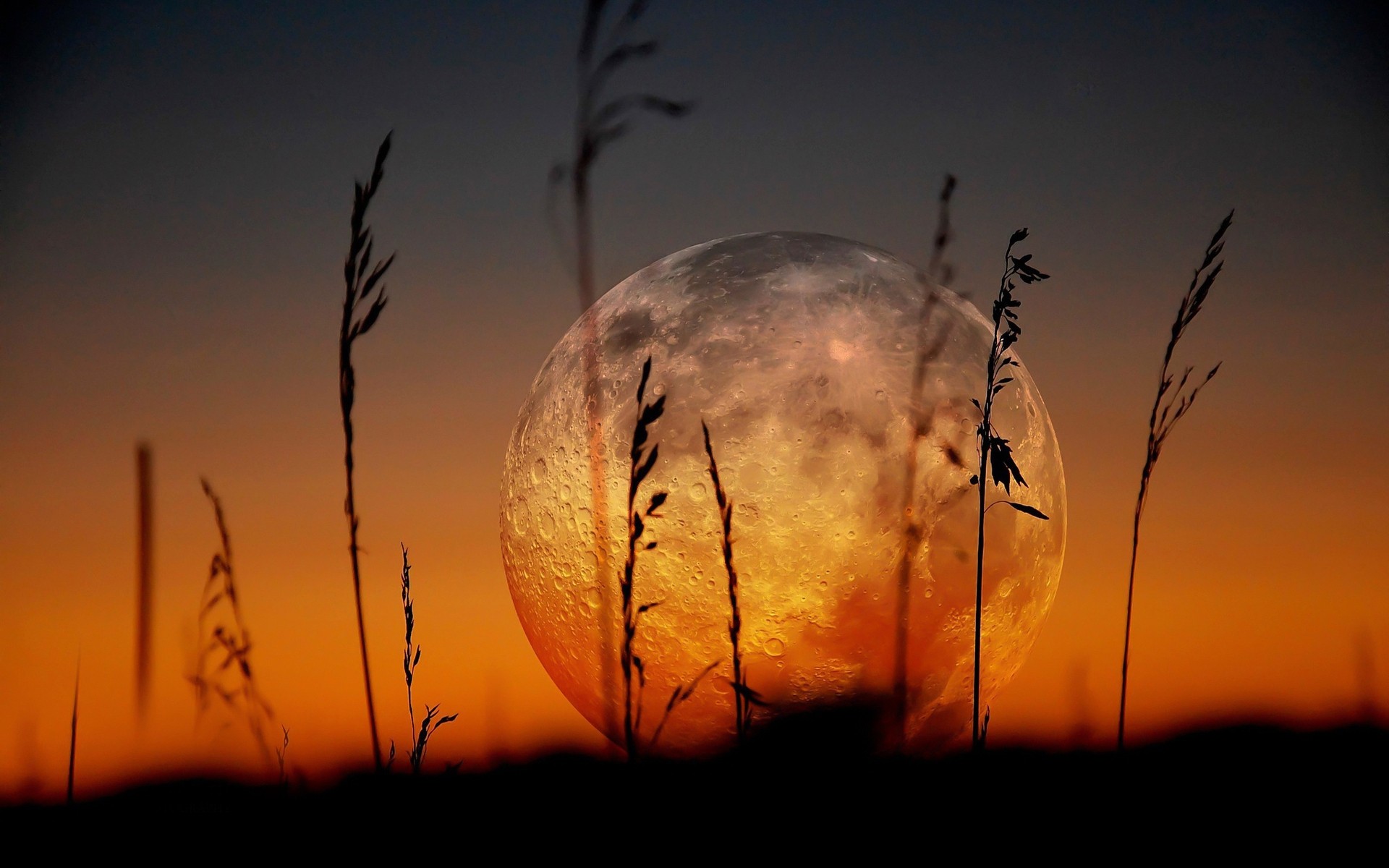 paesaggio tramonto luna natura sole paesaggio cielo alba silhouette luce oro sera legno colore desktop luna piena