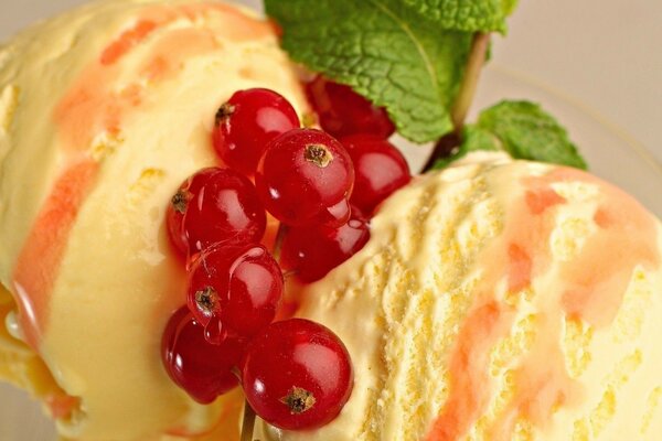 Ice cream with a sprig of red currant