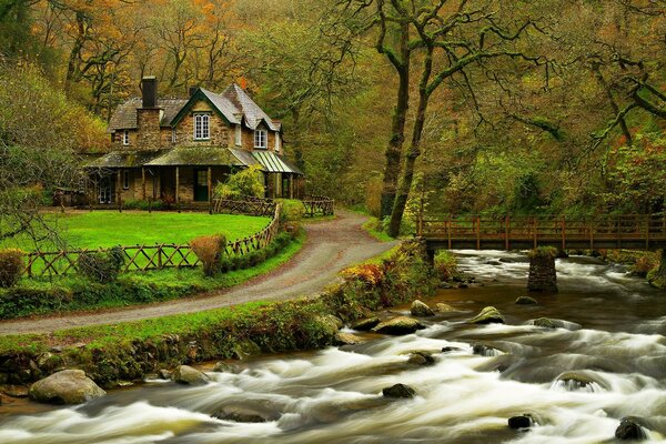 Wonderful house in the forest, by the river