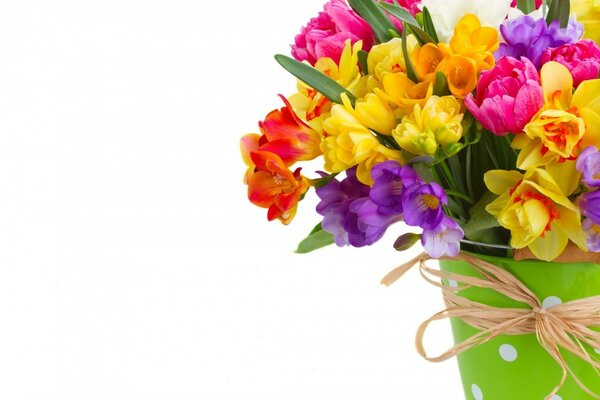 Bouquet in vaso su sfondo bianco