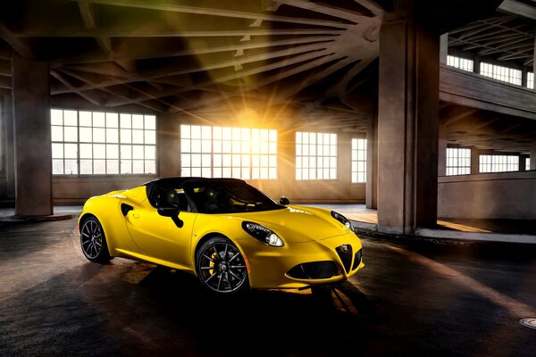 Alfa romeo yellow bessia