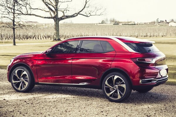 Cherry-colored Citroen on the background of nature