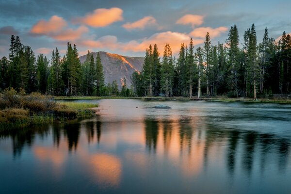 Reflection in the water surface of trees and mountains