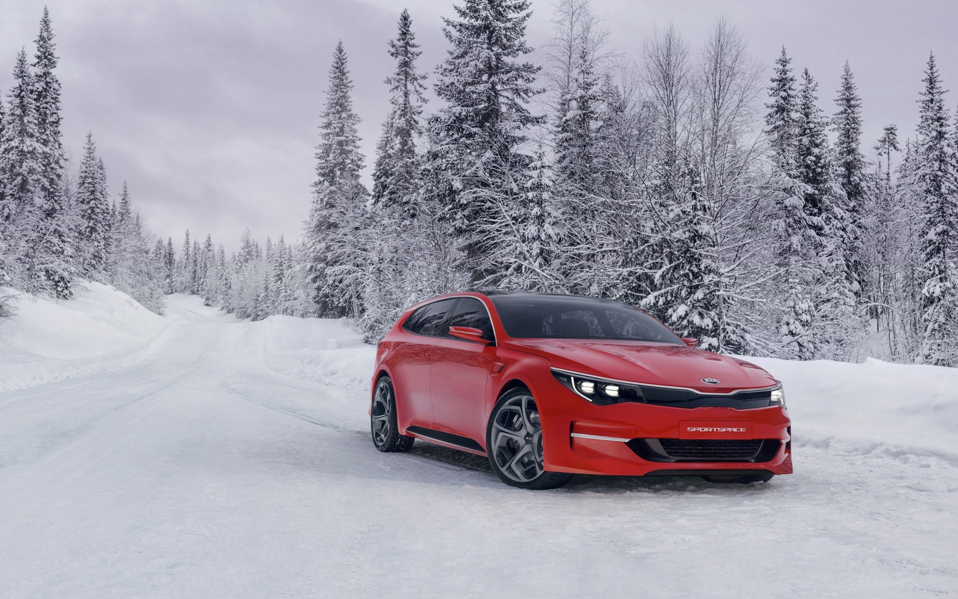 kia nieve invierno madera coche frío pista kia concept car kia concept