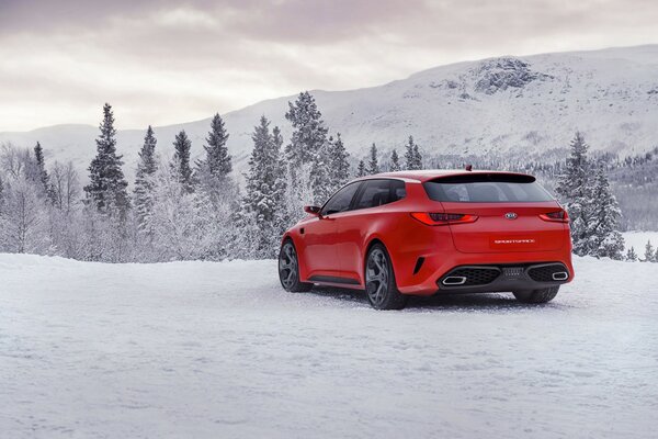 Beautiful photo of a red car