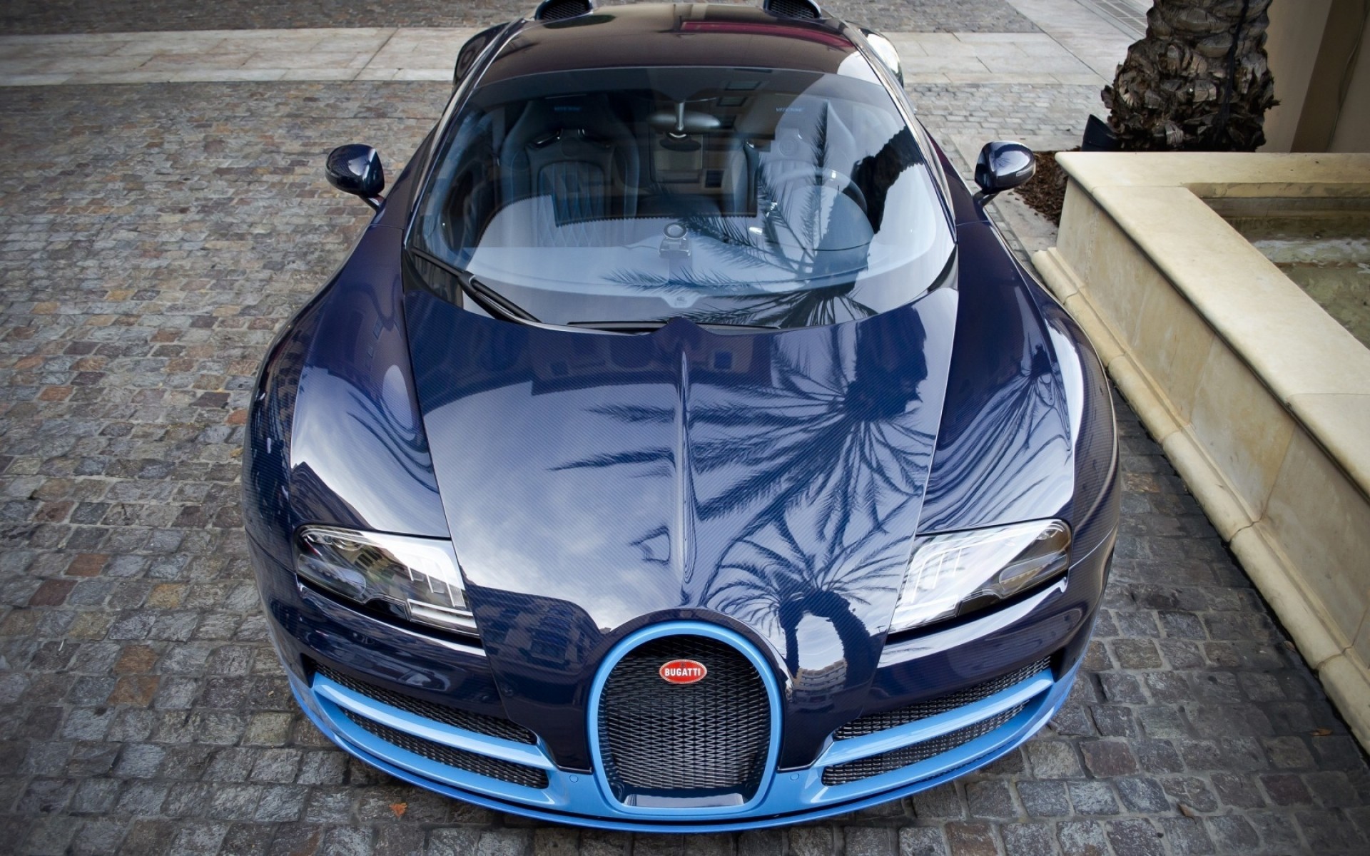 bugatti car vehicle drive transportation system fast exhibition hood wheel show front race hurry power classic style bugatti veyron