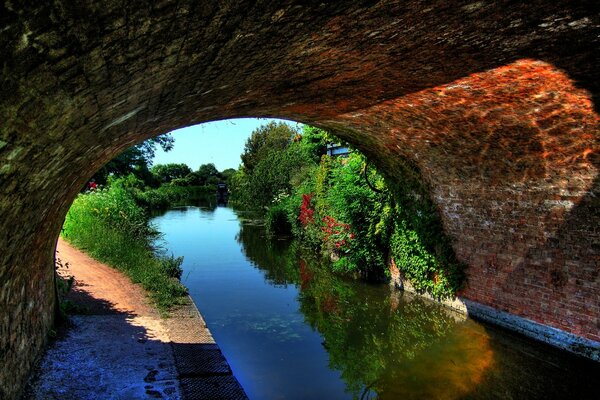 Paysage de rivière à travers le tunnel de verdure et de lumière vive