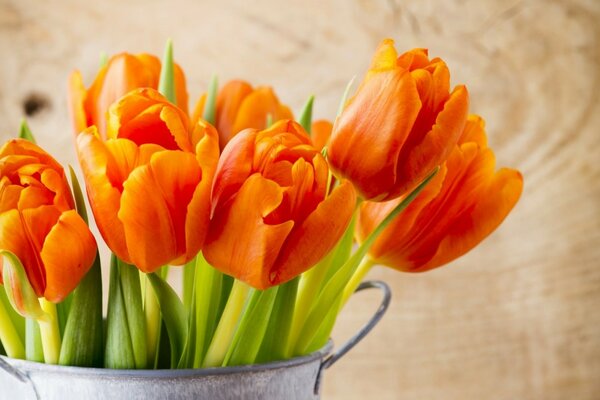 Tulipas laranja em um balde em um fundo de madeira