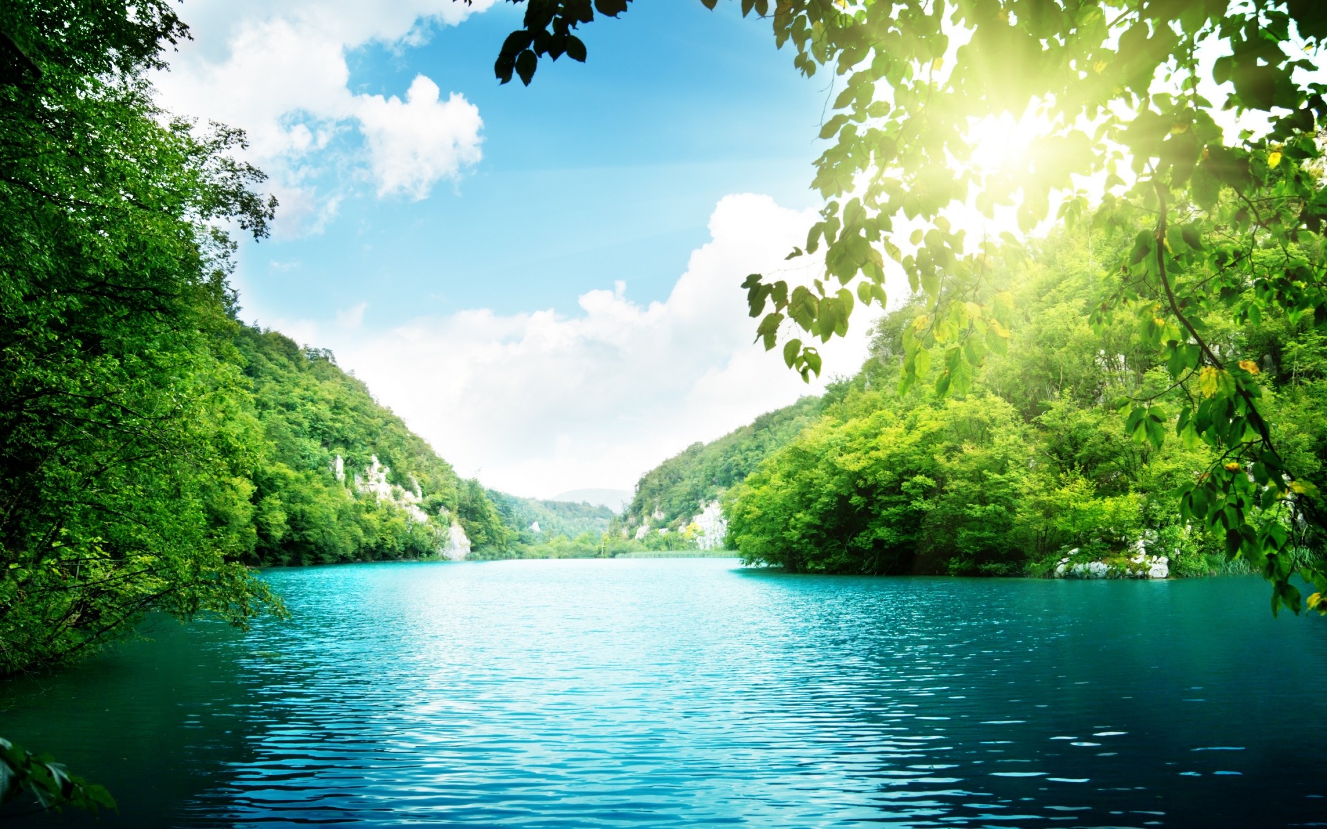 景观 水 自然 热带 树 夏天 旅游 木材 户外 好天气 湖 河 景观 叶 田园诗 太阳 天空 森林 绿色森林 森林背景 湖桌面背景