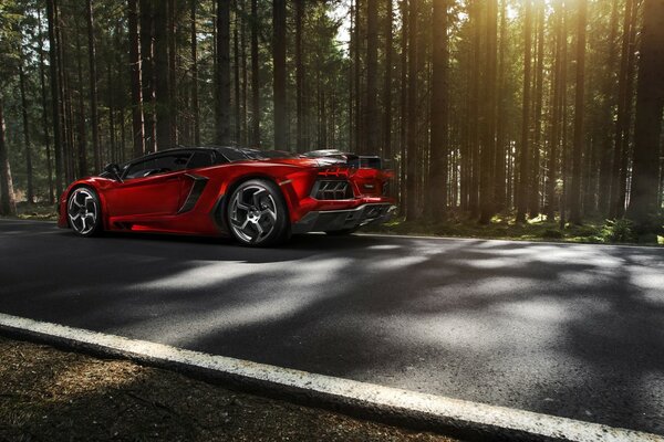 A red sports car drives along the forest