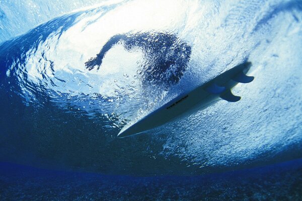 Surfing through the prism of the sea surface