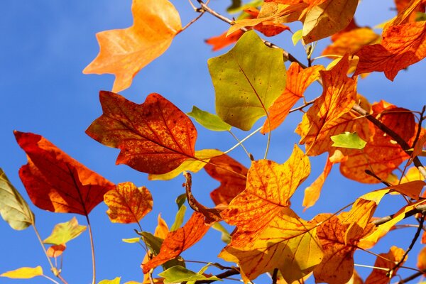 Un lungo autunno è arrivato nelle nostre città