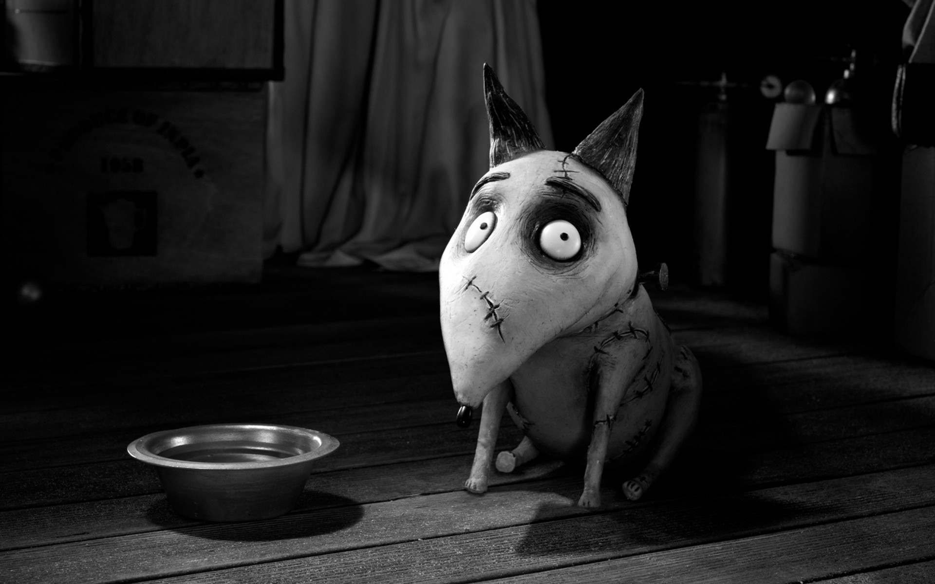 filmy monochromatyczny portret jeden pies dorosły sztuka ciemny frankenweenie sparky