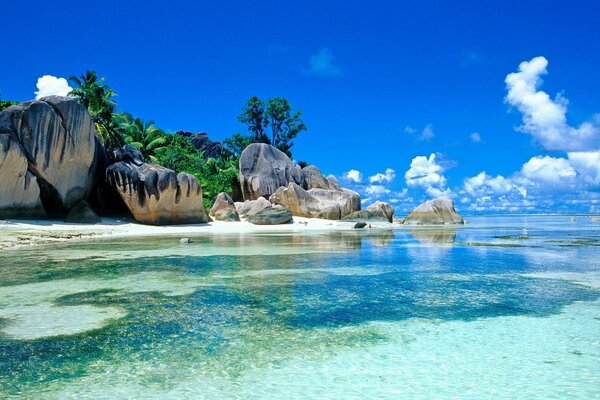 Oceano spiaggia acqua blu trasparente rocce natura