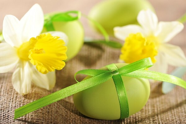 Narcissus flower with a green egg