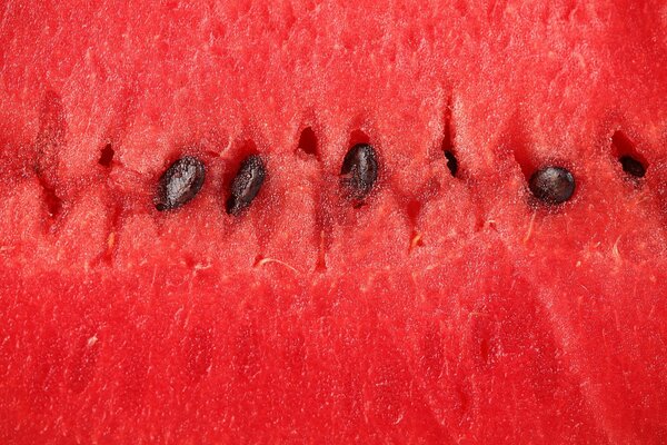 Schwarze Wassermelonenknochen makro