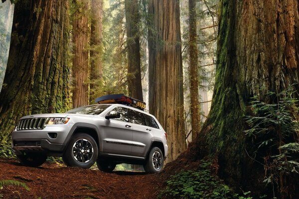 Off-road vehicle in a fabulous mysterious forest