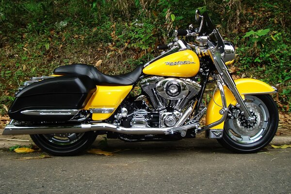 A yellow motorcycle standing by the road