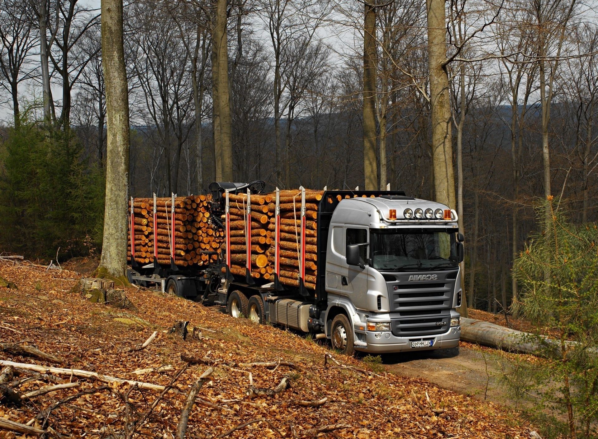 camion auto legno autunno all aperto legno strada