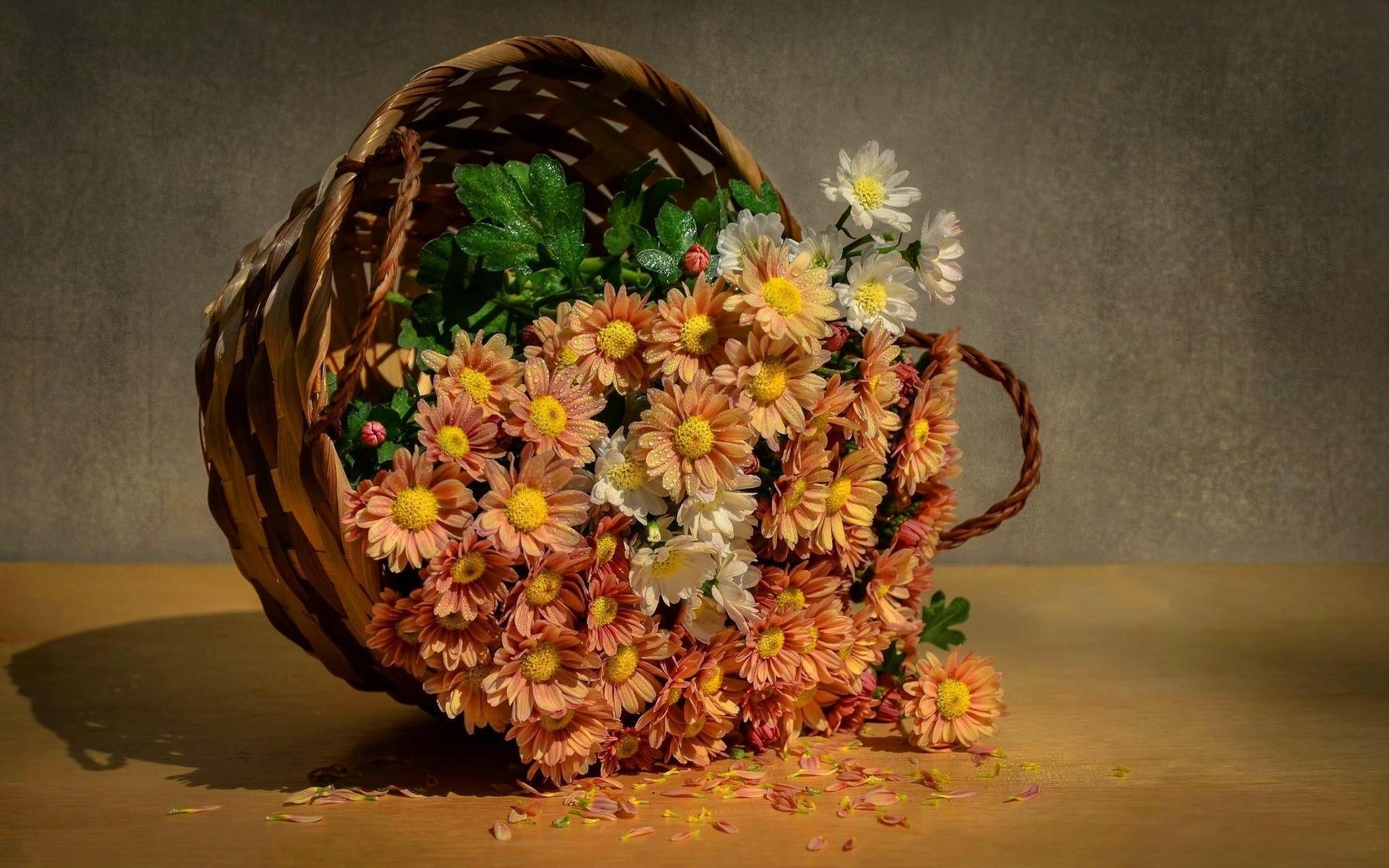 flowers flower still life nature leaf basket decoration food color desktop fall