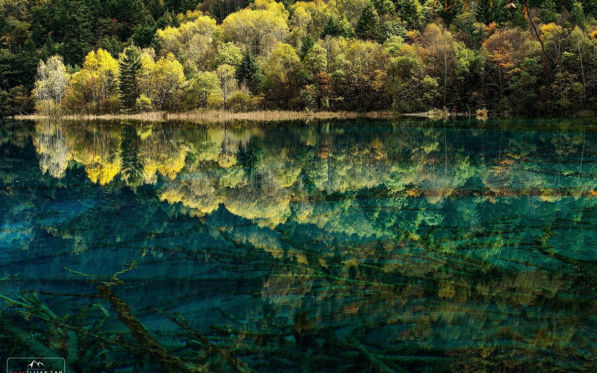 paysage eau rivière réflexion lac paysage arbre nature scénique bois automne feuille à l extérieur voyage piscine parc lumière couleur réflexion lac arbres