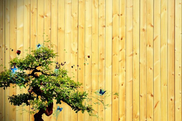 Wooden walls, painted bonsai