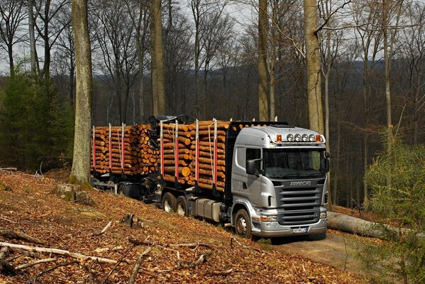 Camion d automne tranquillement sur le chemin