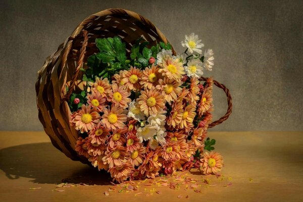 Desktop Screensaver Flowers