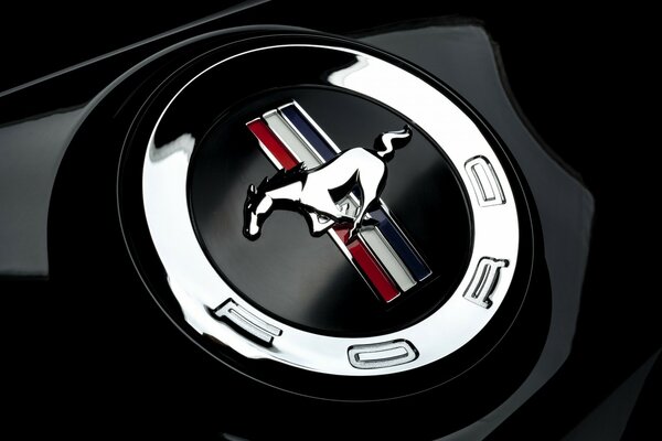 Élégant Ford Mustang métallique