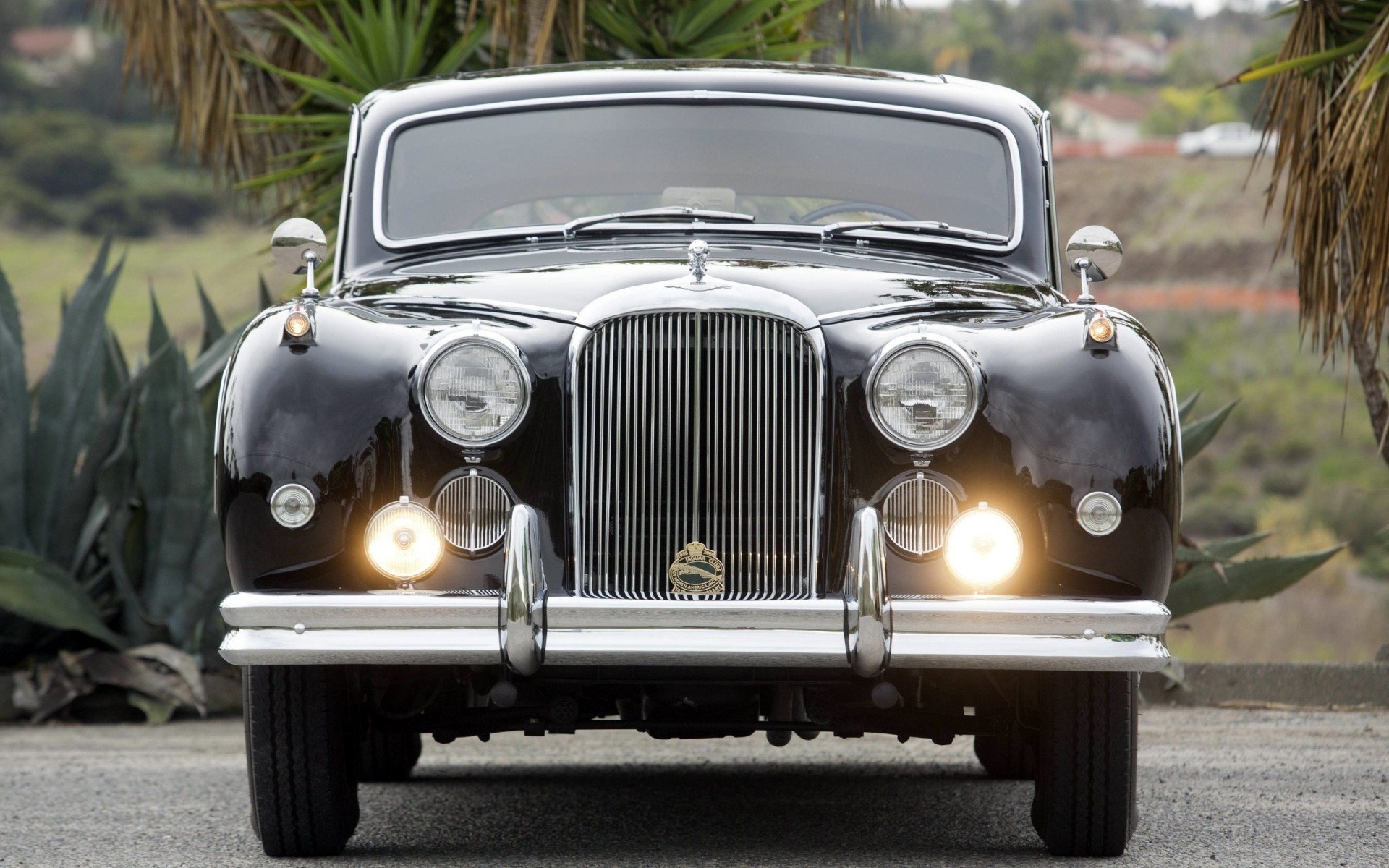 classic / old cars carro carro sistema de transporte disco farol capô clássico conversível nostalgia cromo mostrar rodas pára - brisa rally jaguar clássico