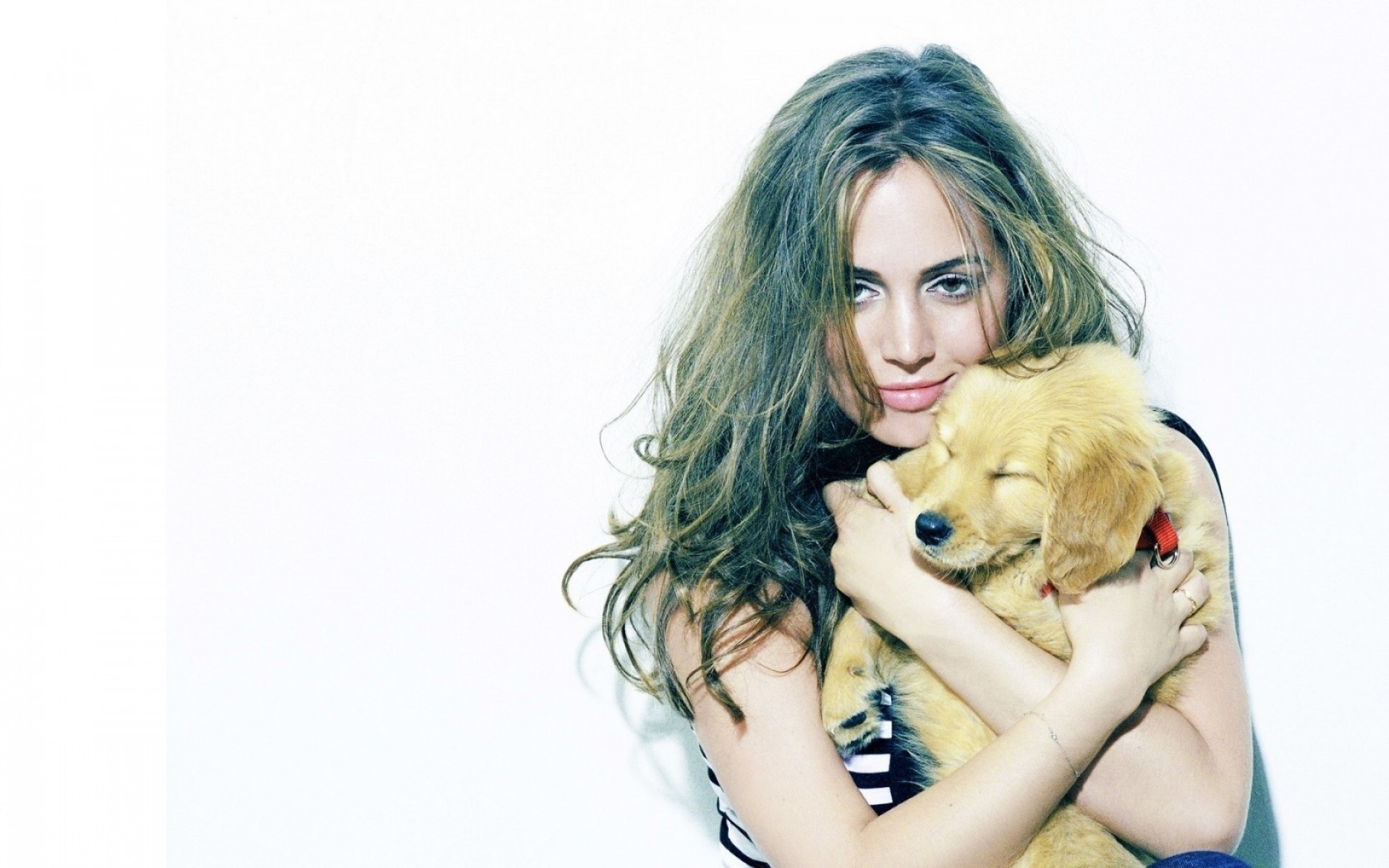 девушка красивые молодой женщина портрет милые студия мода рабочего стола модель довольно волосы сексуальный привлекательная изолированные гламур курчавый щенок актриса