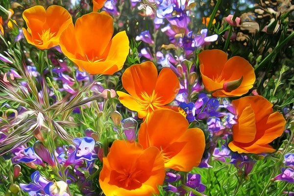 Abundance of beautiful flowers in the garden