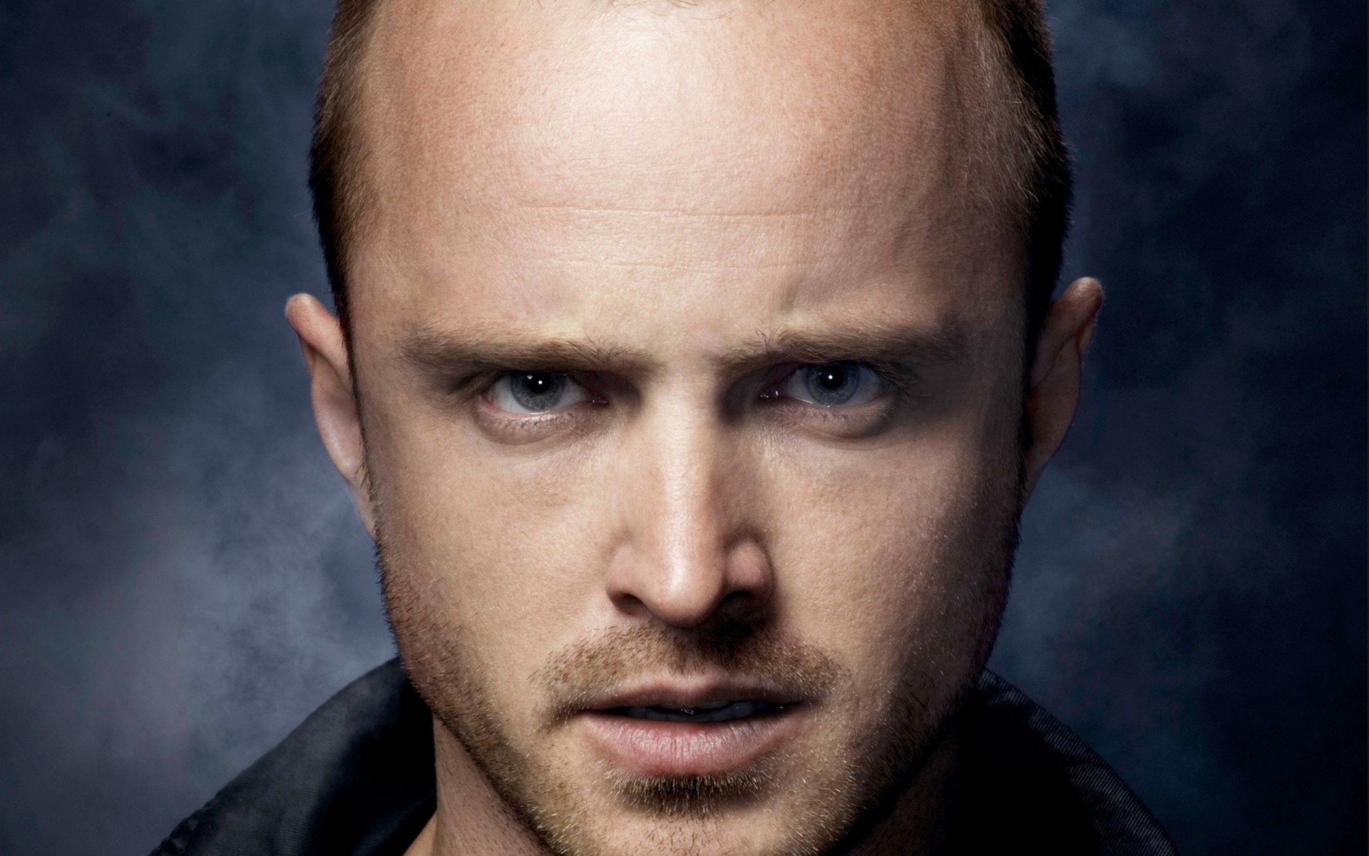 men portrait man one fashion adult face fine-looking aaron paul