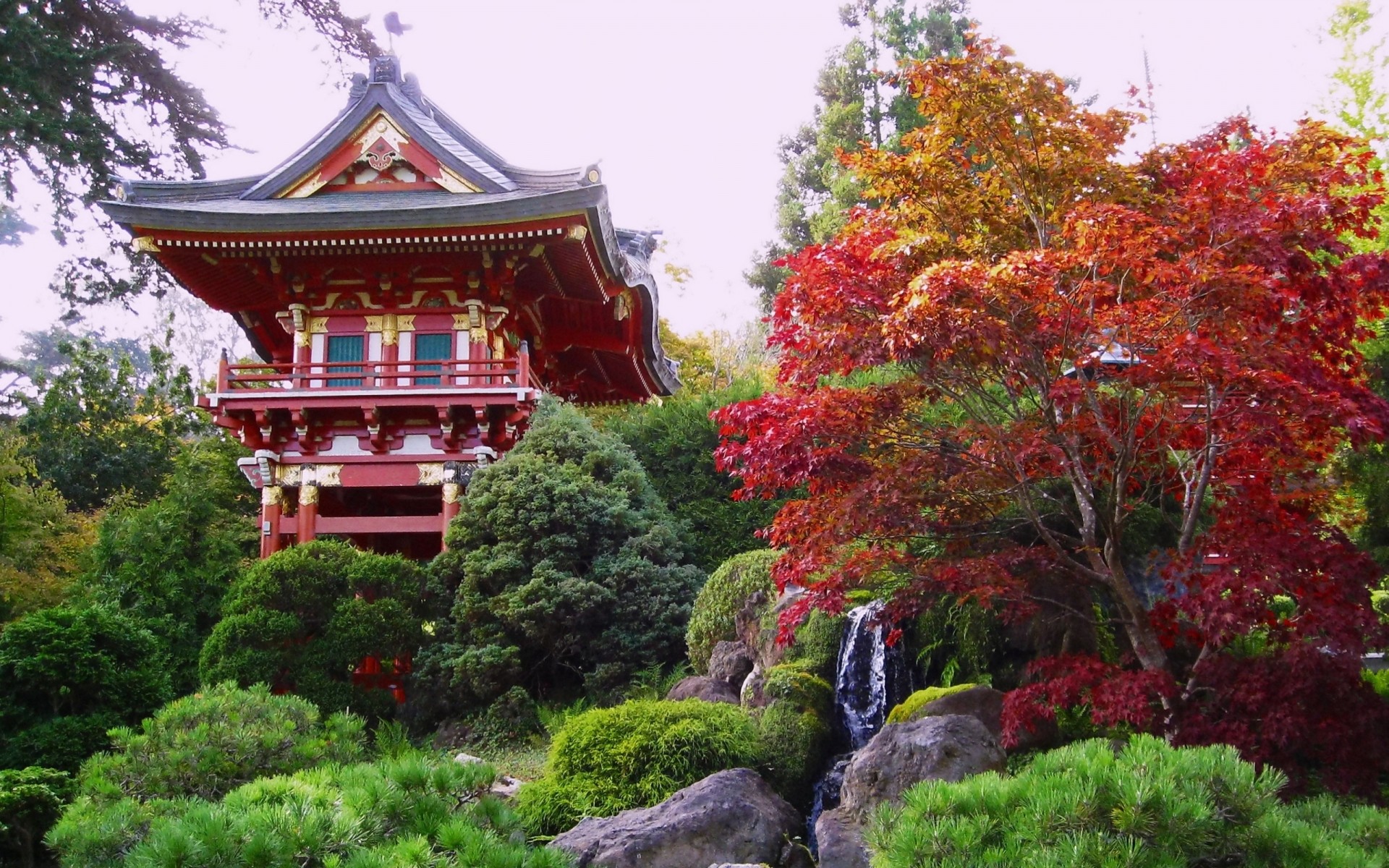 china park baum garten reisen zen im freien tempel traditionell zelt architektur holz shinto blatt natur pagode kultur gold schön friedlich wasserfall