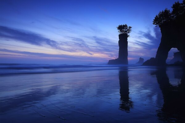 Costa árboles rocas Japón