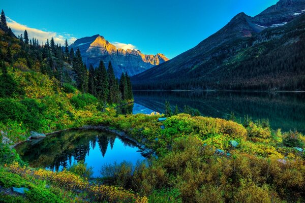 Hermoso río entre montañas y bosques