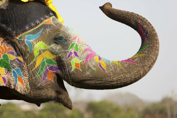 Ritratto di un elefante decorato con colori