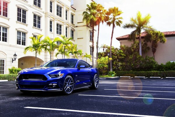 Hermoso Ford Mustang frente a la acera