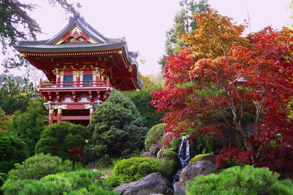 Edificio cinese nel parco autunnale