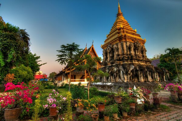 The road to the temple in potted flowers