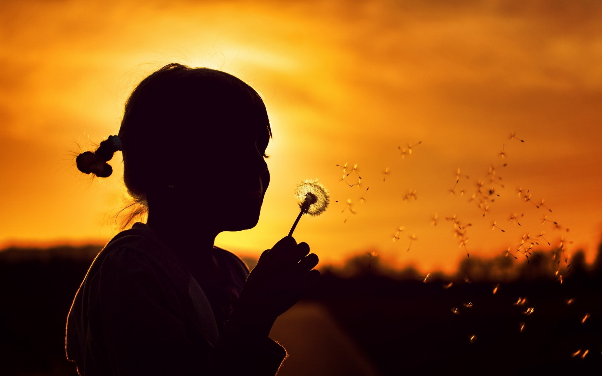 flowers sunset silhouette sun backlit light dawn sky portrait evening shadow landscape beach dusk girl fair weather backlight concert nature cloud seeds