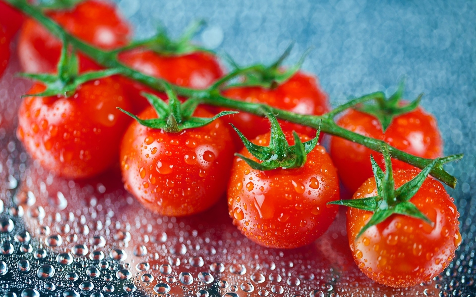 légumes repas grandir tomate en bonne santé légume santé fruits juteux délicieux feuille alimentaire agriculture fraîcheur alimentation cuisine rafraîchissement délicieux cerise goutte d eau