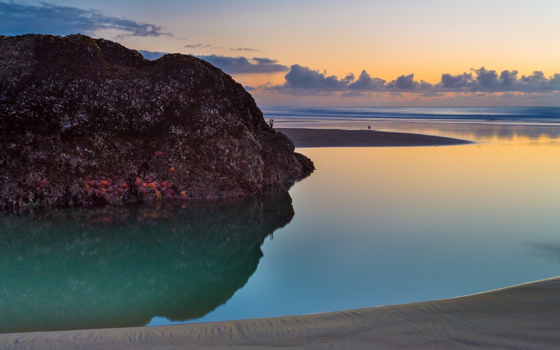 estados unidos agua playa mar mar océano paisaje viajes paisaje puesta de sol cielo isla roca naturaleza bandon beach oregon estados unidos