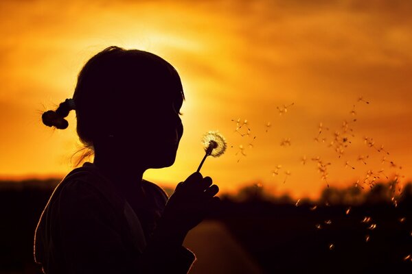 Silhouette eines Mädchens mit Löwenzahn bei Sonnenuntergang