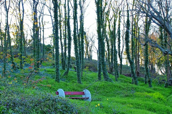 Paisagem da cidade e arquitetura natureza