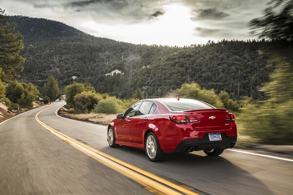 Chevrolet conduce por el camino a través del bosque