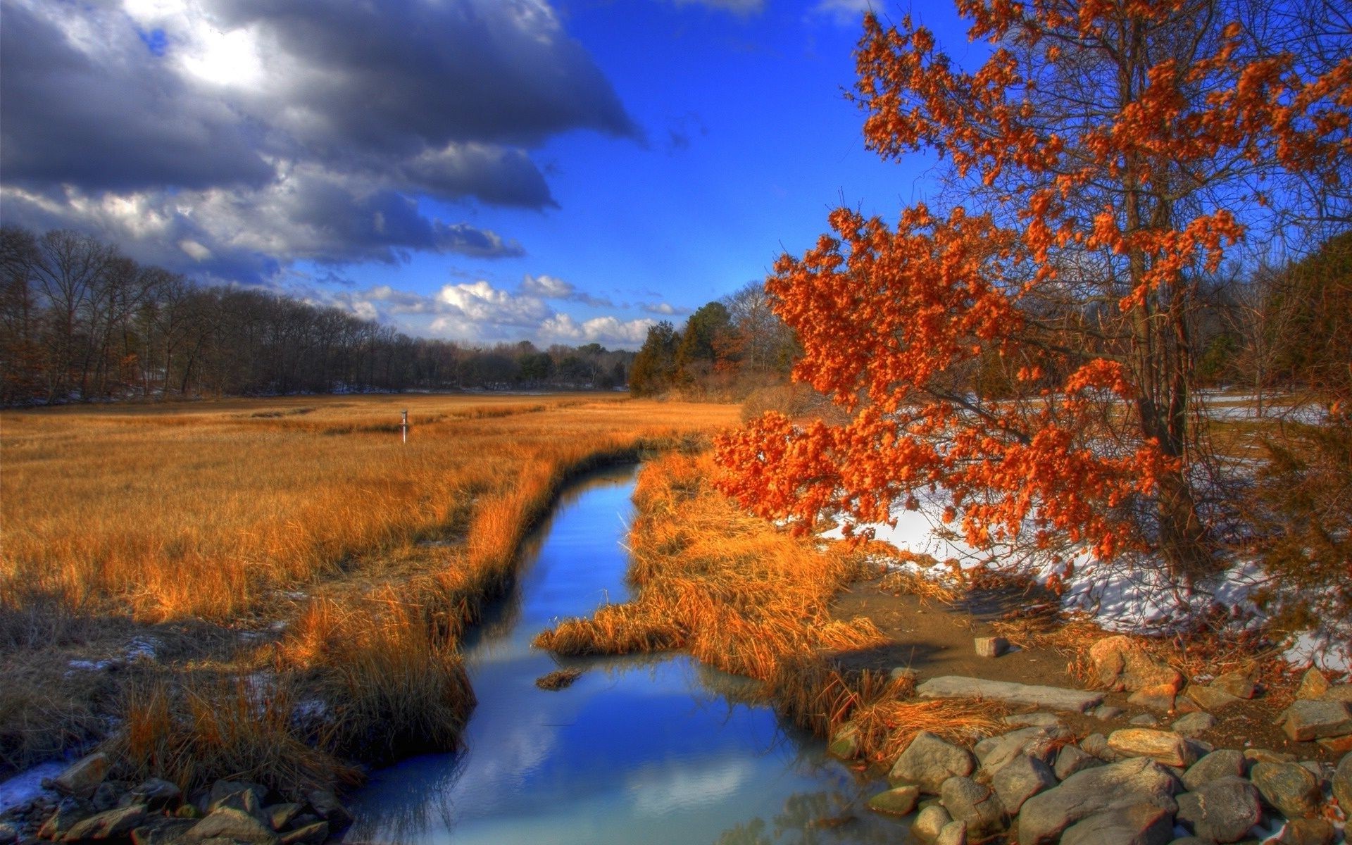 ríos estanques y arroyos estanques y arroyos paisaje árbol otoño madera amanecer naturaleza al aire libre agua reflexión escénico río lago noche temporada hoja cielo parque buen tiempo puesta del sol